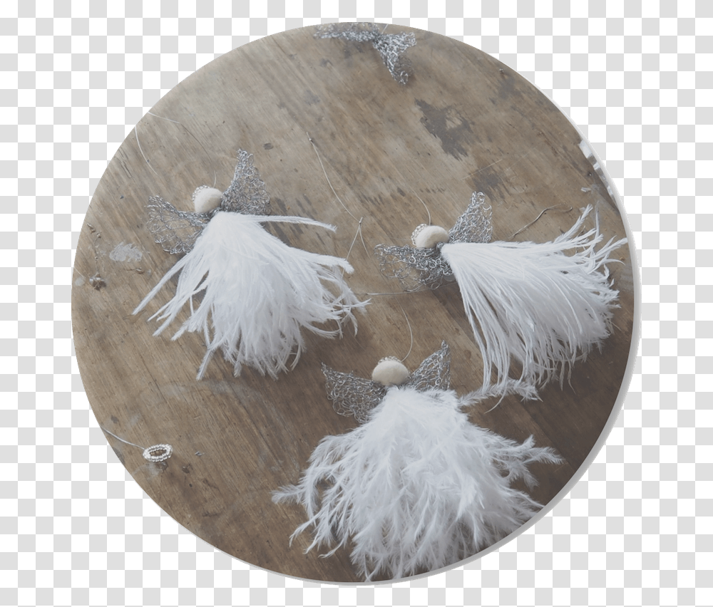 Angels The Angels Circle 520064 Vippng Circle, Clothing, Bird, Chicken, Plant Transparent Png