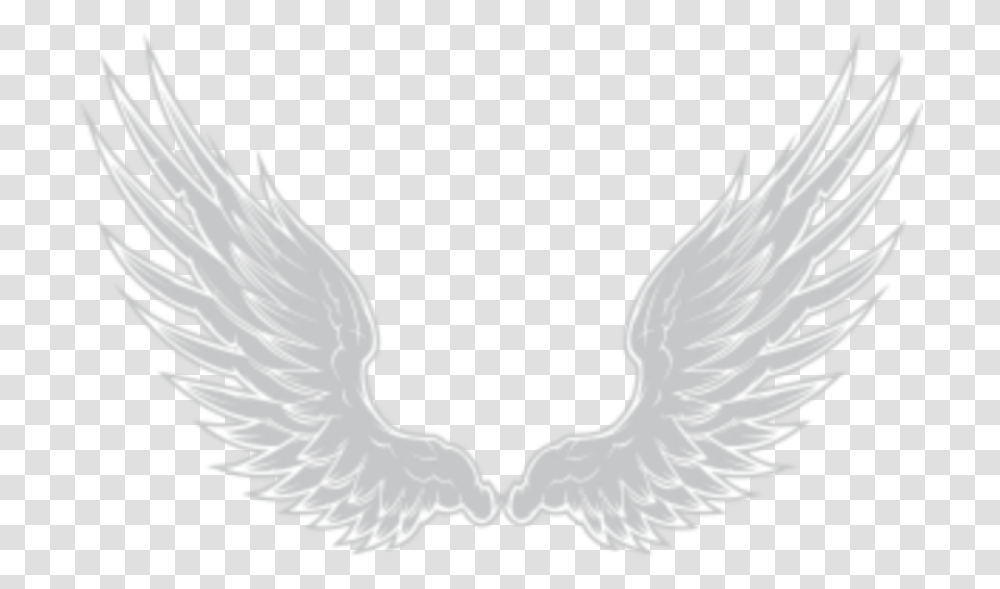Angels Wings Imagen De Alas, Eagle, Bird, Animal Transparent Png