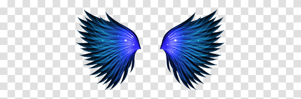 Angelwing Freetoedit Angelwings Ftestickers Wing Illustration, Sea Life, Animal, Invertebrate, Light Transparent Png