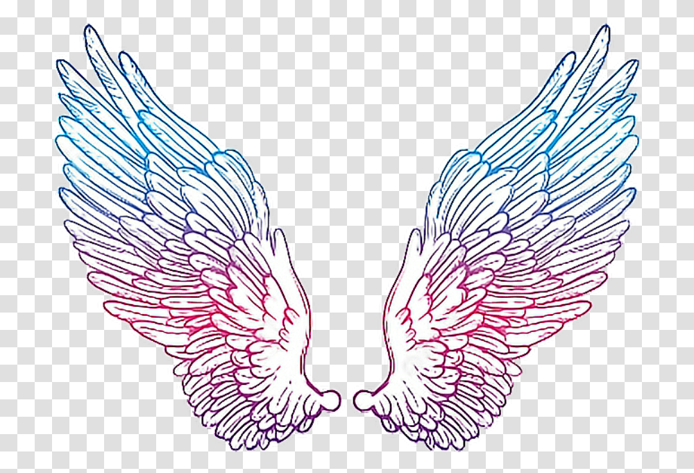 Angelwings Drawing Colorful Hour Glass With Wings, Bird, Animal Transparent Png