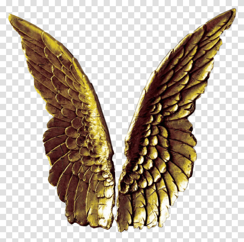 Angelwings Gold Golden Freetoedit Scangelwings Angel Wings Decor, Bronze, Insect, Invertebrate, Animal Transparent Png