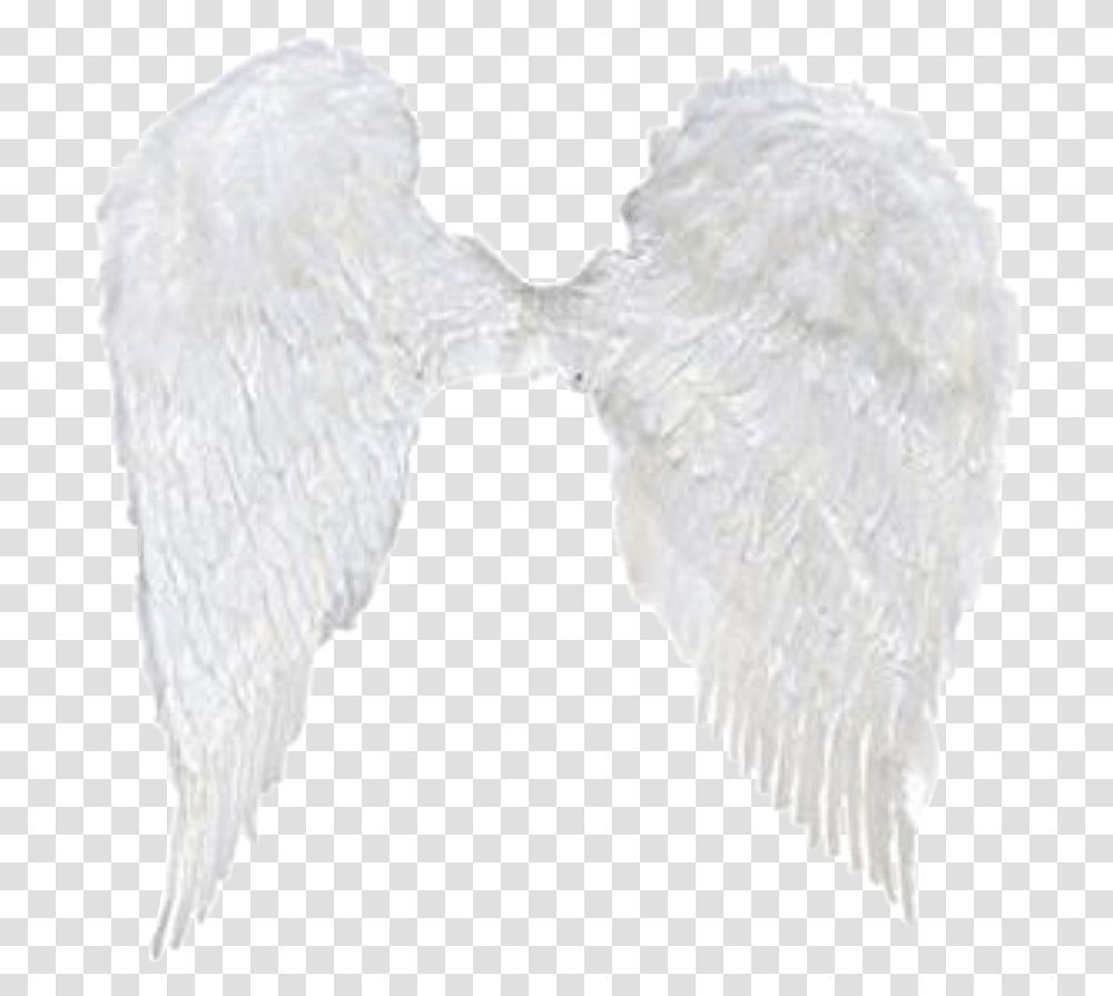 Angelwings Wings Angel Aesthetic Sticker Freetoedit Angel, Arrowhead, Pillow Transparent Png