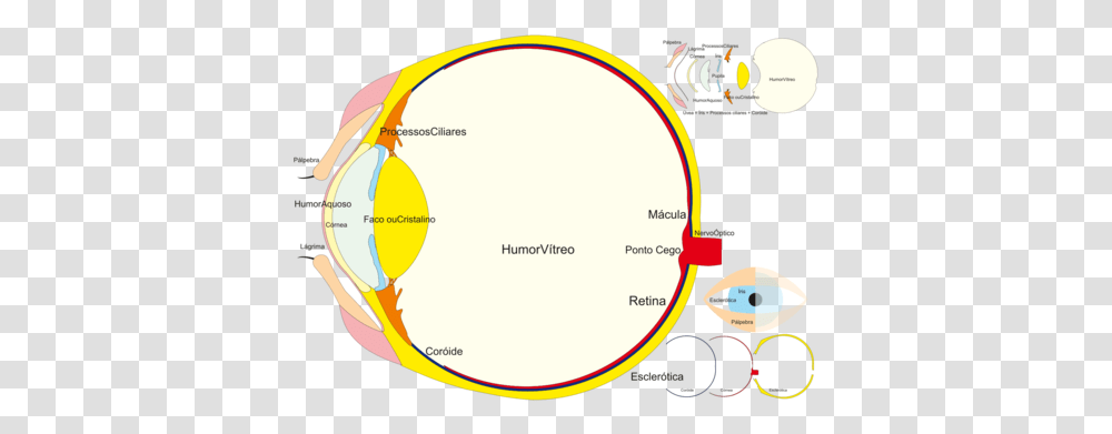Angleareatext Circle, Plot, Astronomy, Outer Space, Universe Transparent Png