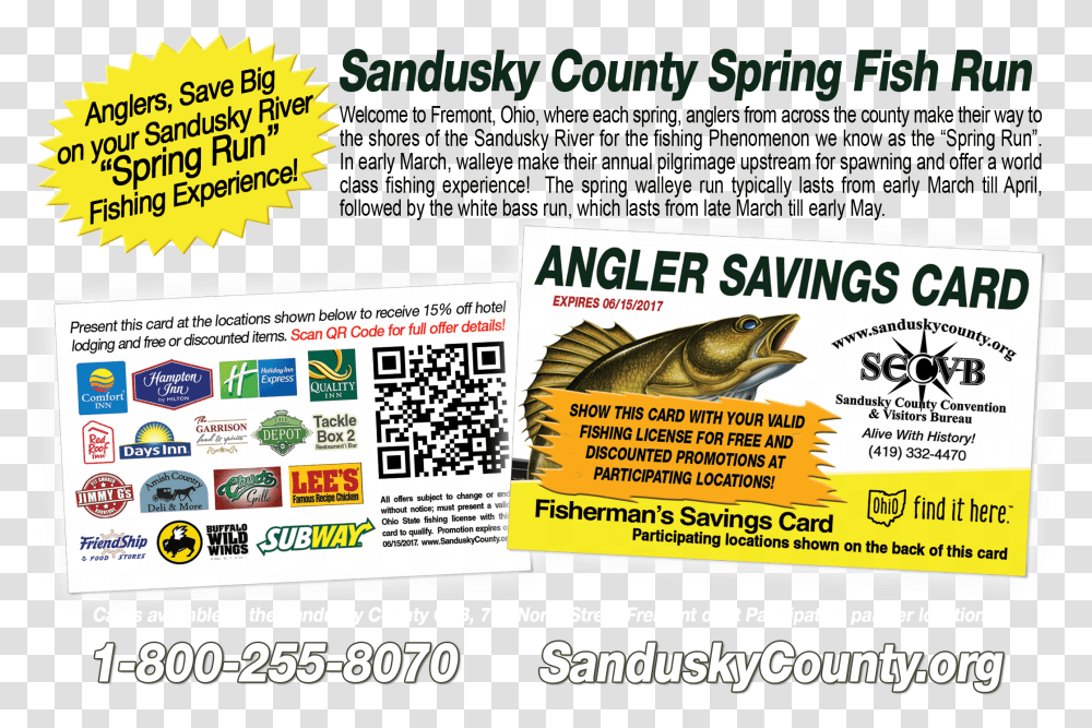Angler Fish Sccvb Spring Run Promo Ilir Bajri Beyond, Flyer, Poster, Paper, Advertisement Transparent Png