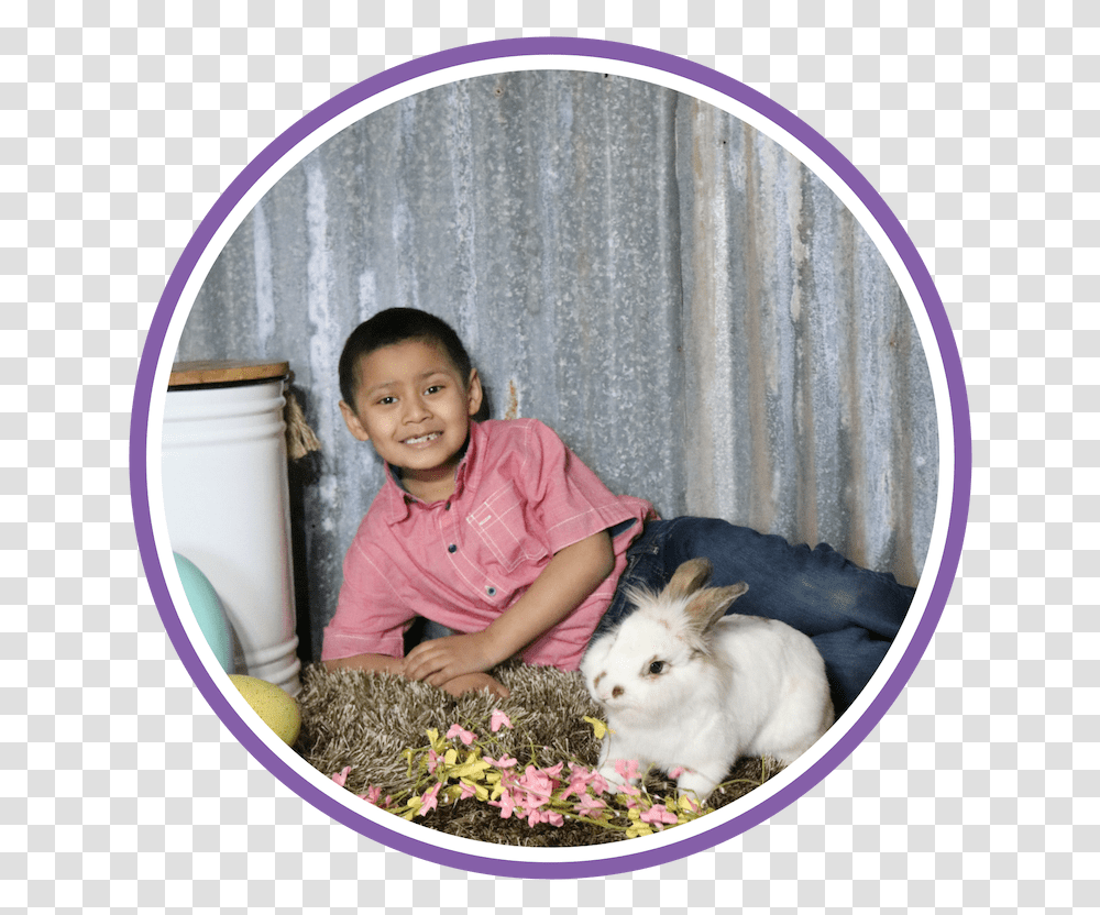 Angora Rabbit, Person, Human, Dog, Pet Transparent Png