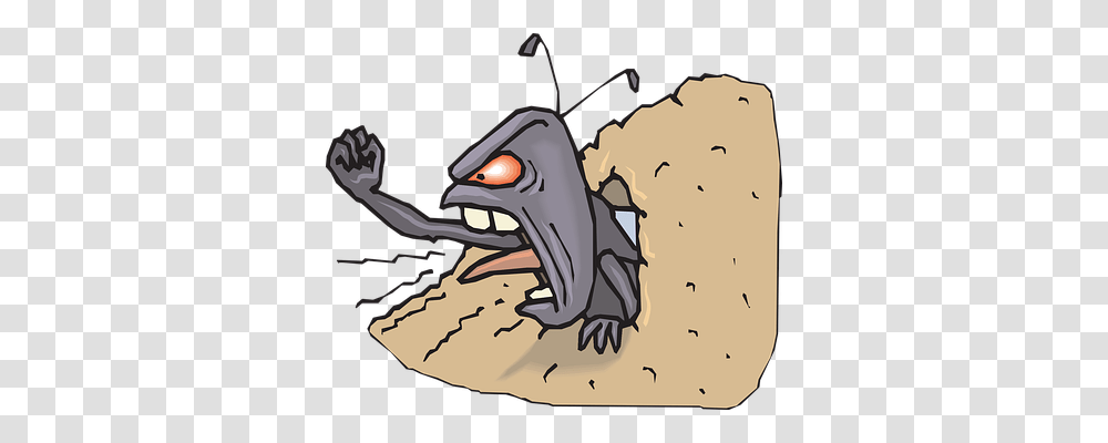 Angry Emotion, Animal, Insect, Invertebrate Transparent Png