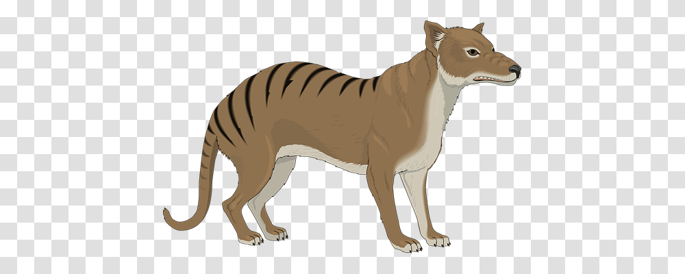 Angry Emotion, Animal, Mammal, Horse Transparent Png