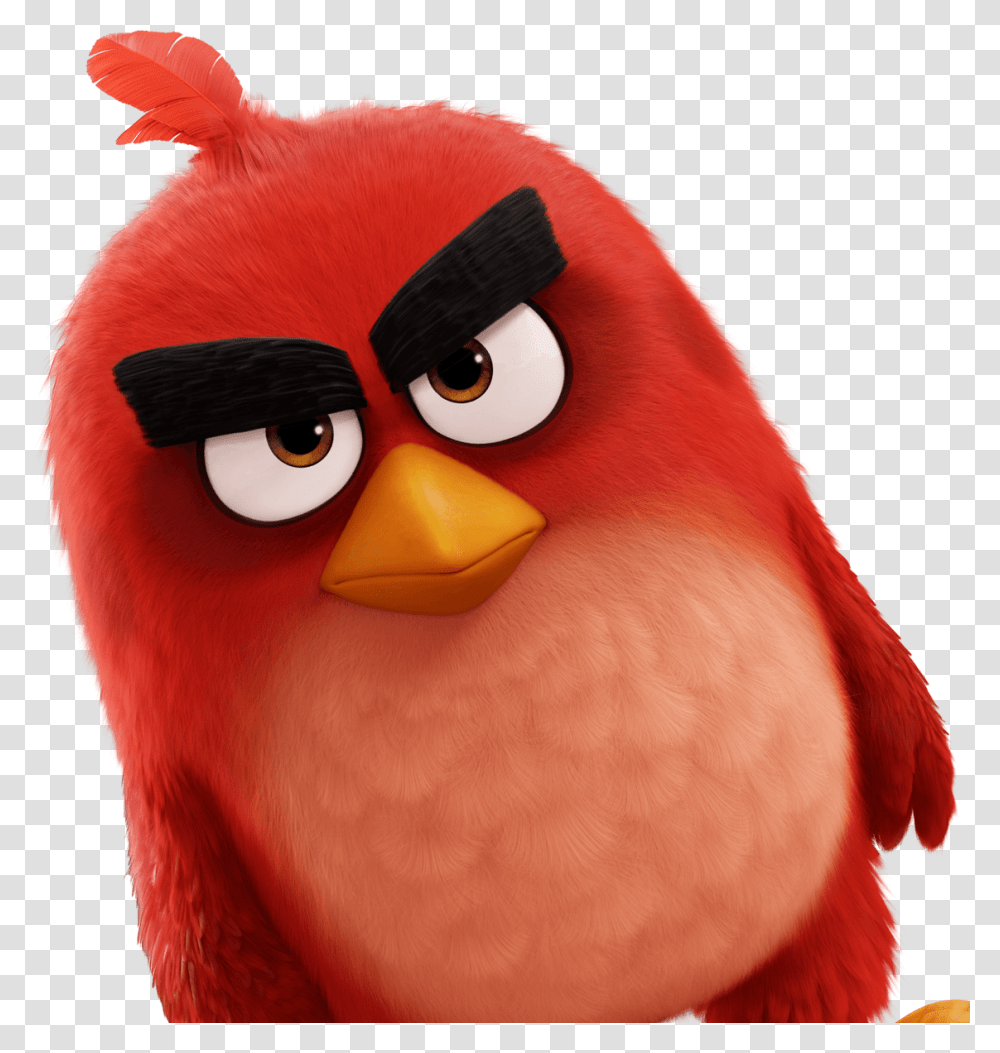 Angry Bird Angry Bird Movie Hd, Toy, Angry Birds Transparent Png