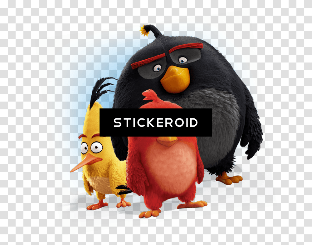 Angry Bird Download Angry Birds Wallpaper Iphone, Animal, Penguin, Bluebird Transparent Png