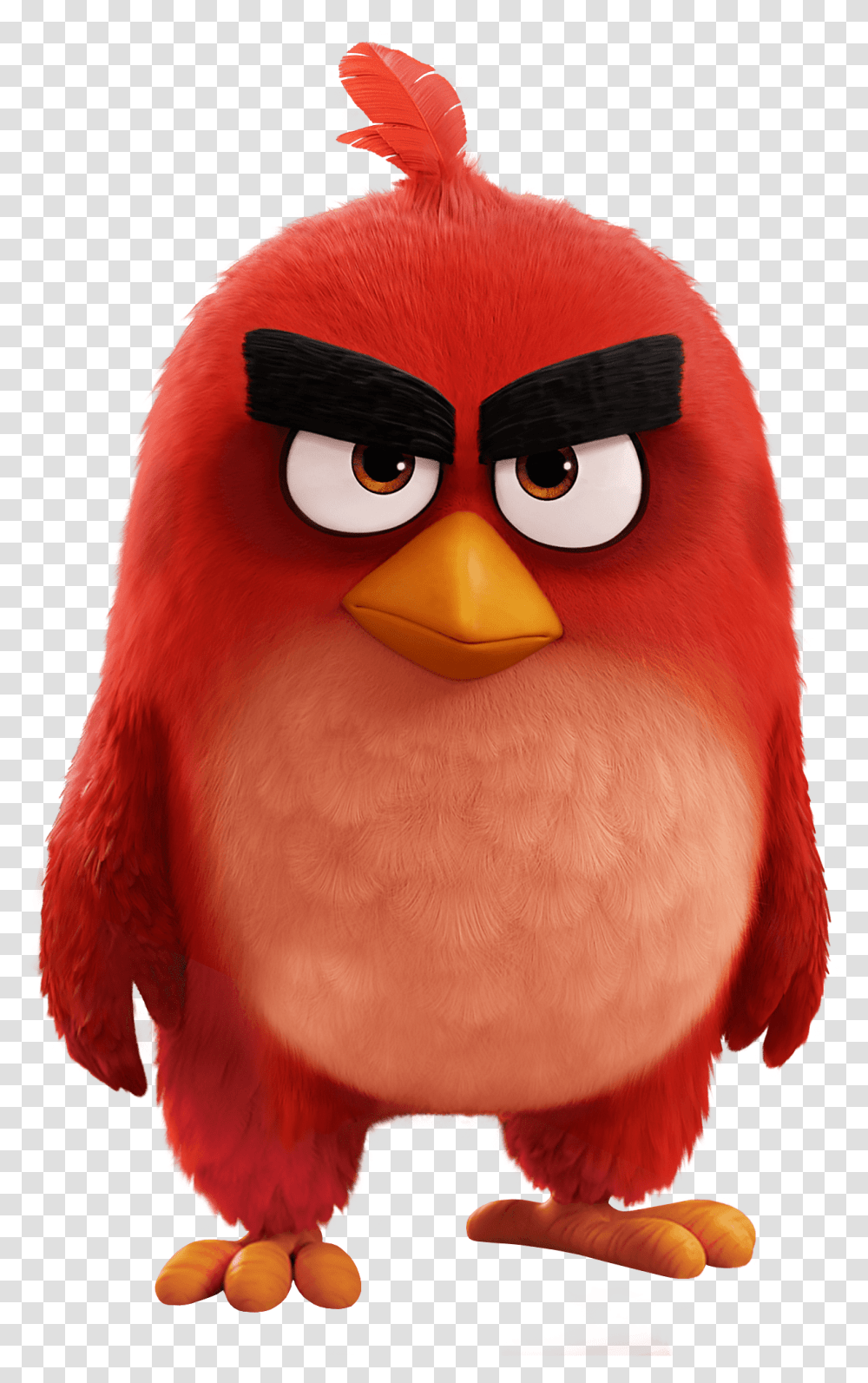 Angry Bird Movie Red Bird Clipart Download Angry Birds 2 Red Transparent Png