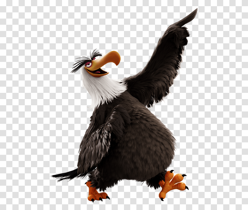 Angry Birds 2 Eagle, Animal, Beak, Chicken, Poultry Transparent Png