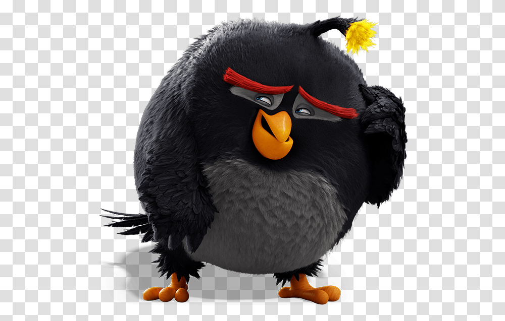 Angry Birds Bomb Character Angry Bird Bomb, Animal, Penguin, King Penguin, Beak Transparent Png