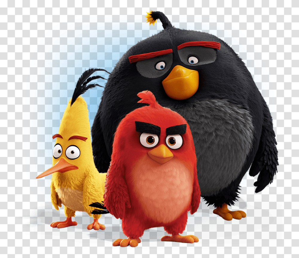 Angry Birds Image Bomb Chuck Angry Birds, Animal Transparent Png