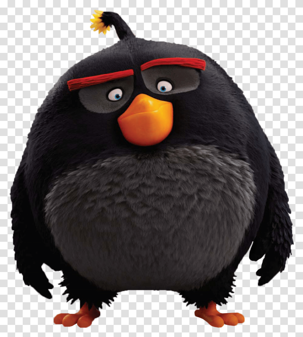 Angry Birds Movie Characters, Animal, Puffin, Penguin, Beak Transparent Png