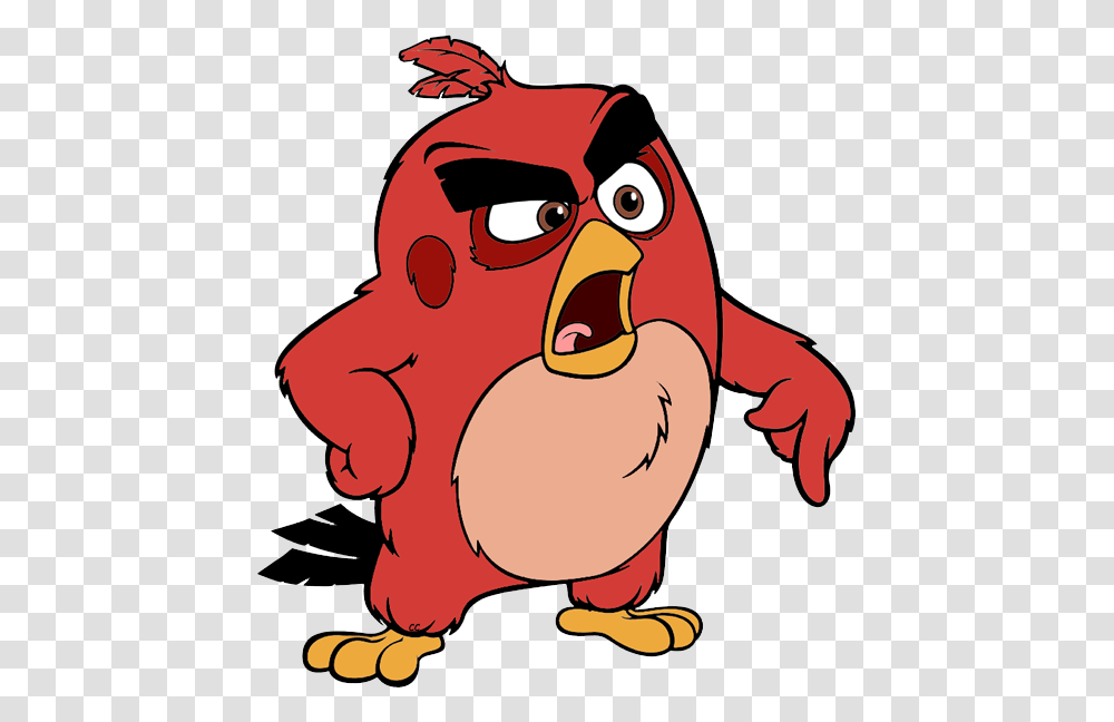 Angry Birds Movie Clipart, Animal Transparent Png