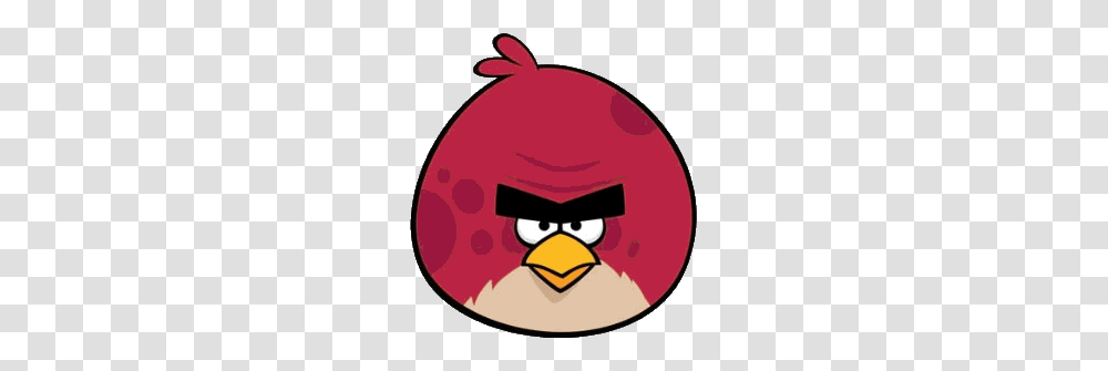 Angry Birds Of Javascript Series Manorisms Transparent Png