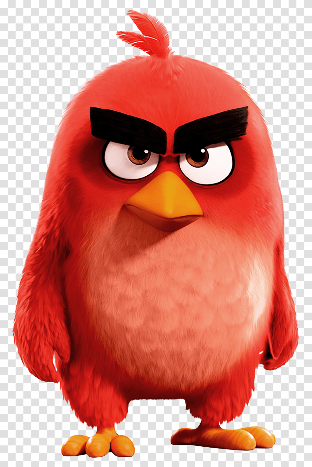 Angry Birds Red Hd Mobile Wallpapers Wallpaper Cave Angry Birds Red, Person Transparent Png