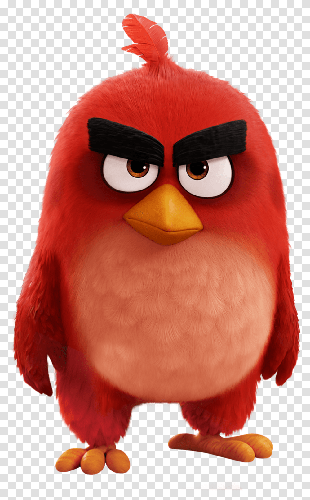 Angry Birds Red Red Angry Birds Movie Transparent Png