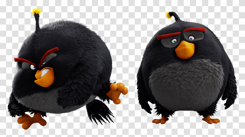 Angry Birds Wiki Angry Birds Black Bomb Transparent Png