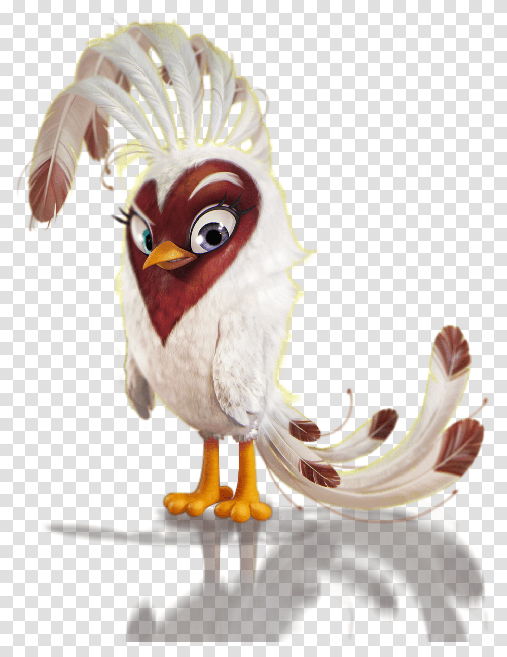 Angry Birds Wiki, Animal, Chicken, Poultry, Fowl Transparent Png