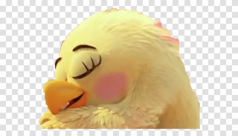 Angry Birds Wiki Duck, Animal, Beak, Snowman, Winter Transparent Png