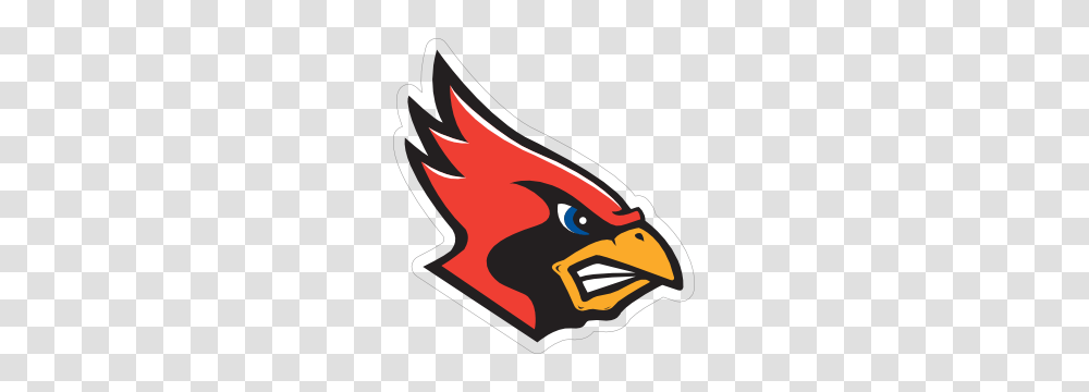 Angry Cardinal Head Mascot Sticker, Angry Birds, Label Transparent Png
