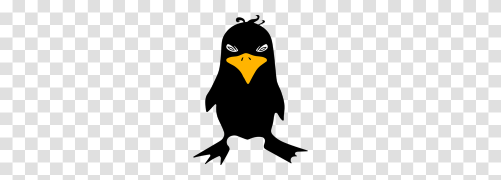 Angry Cartoon Faces Clip Art, Bird, Animal, Light, Penguin Transparent Png