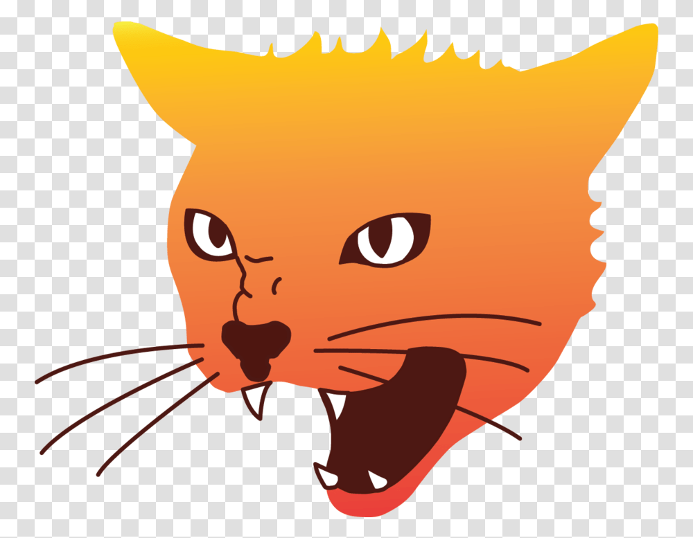 Angry Cat Image Angry Cat Clipart, Mammal, Animal, Pet, Person Transparent Png