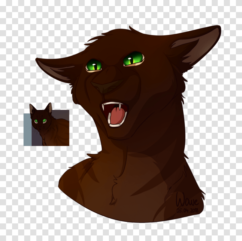 Angry Cat Is Angry, Mammal, Animal, Pet, Wildlife Transparent Png