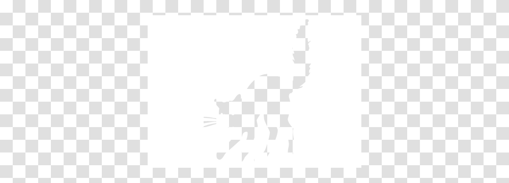 Angry Cat Wallstickers, White, Texture, White Board Transparent Png