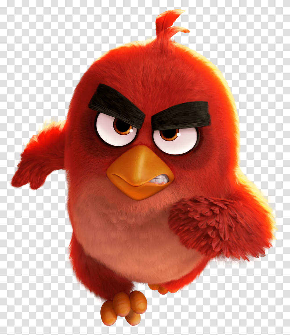 Angry Clipart Red Angry Bird Transparent Png