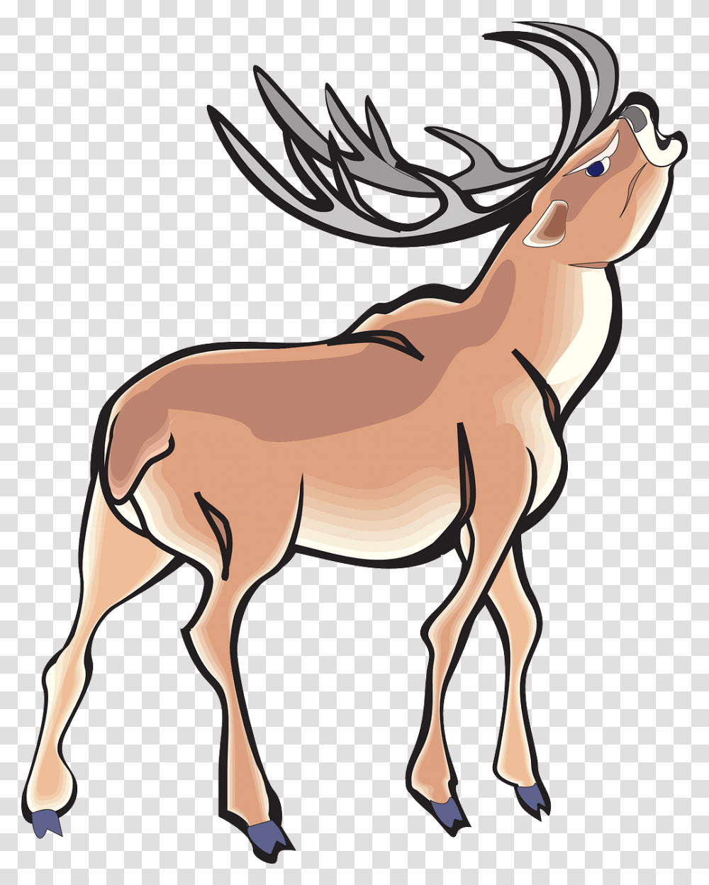 Angry Deer Wild Animal Antlers Angry Deer Cartoon, Wildlife, Antelope, Mammal, Gazelle Transparent Png