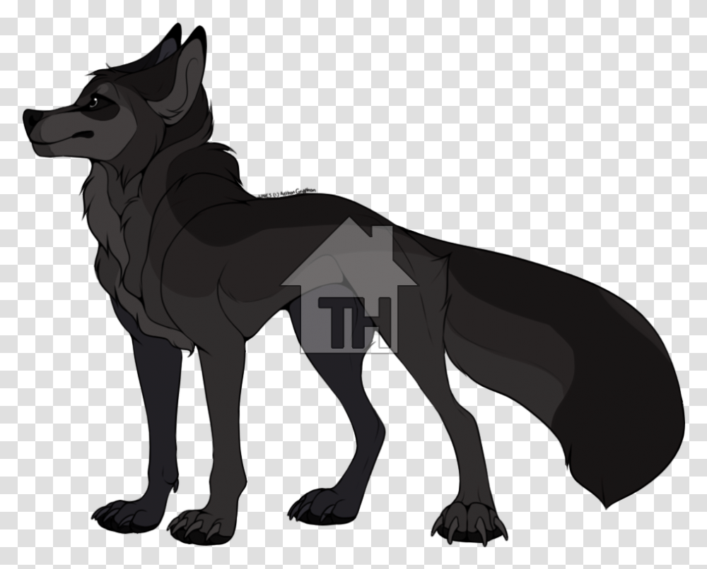 Angry Dog, Coyote, Mammal, Animal, Wolf Transparent Png