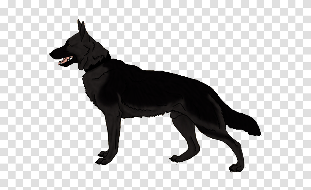 Angry Dog Hd Angry Dog Hd Images, Animal, Pet, Mammal, Canine Transparent Png