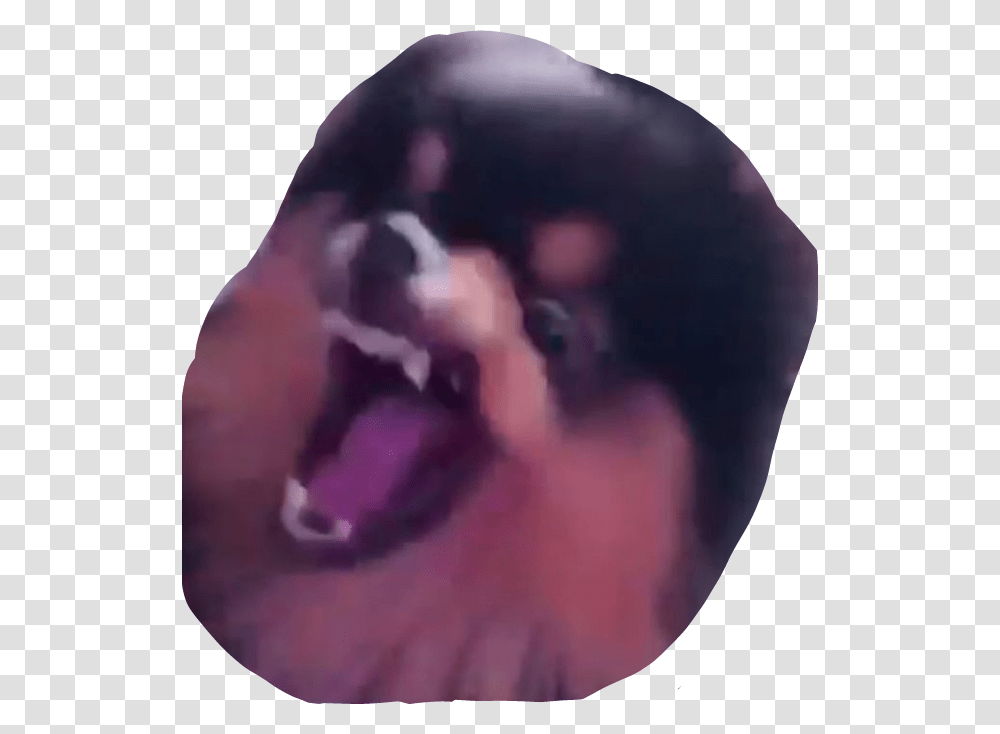 Angry Dog, Person, Human, Ear, Animal Transparent Png