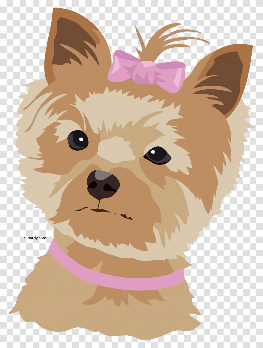 Angry Dog, Pet, Animal, Puppy, Canine Transparent Png