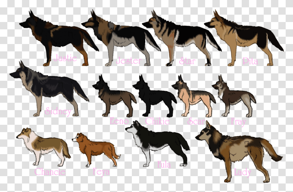 Angry Dog Very Angry German Shepherd, Horse, Mammal, Animal, Cow Transparent Png