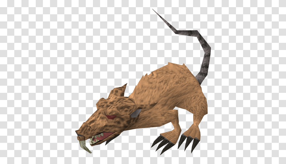 Angry Giant Rat Runescape Wiki Fandom Angry Rats, Bird, Animal, Soil, Dragon Transparent Png