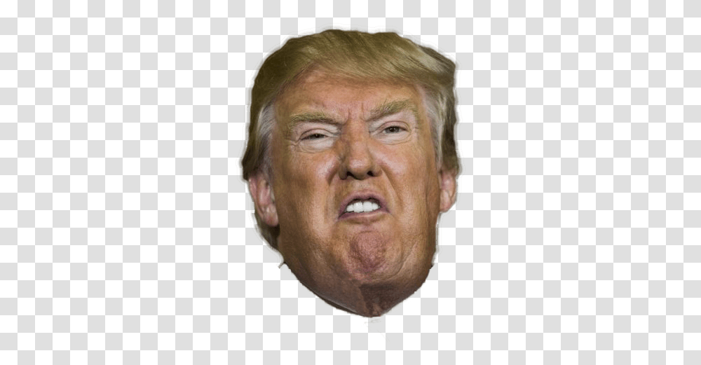 Angry Or Crying Both Donald Trump Head Cutout, Face, Person, Portrait, Photography Transparent Png