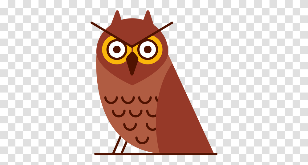 Angry Owl Illustration & Svg Vector File Vector Owl, Bird, Animal Transparent Png
