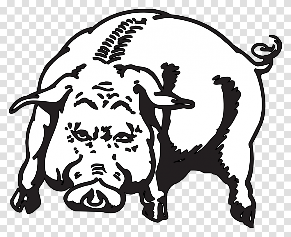 Angry Pig Animal Hog Piggy Mammal Hog Graphics, Stencil, Bull, Cattle, Wasp Transparent Png