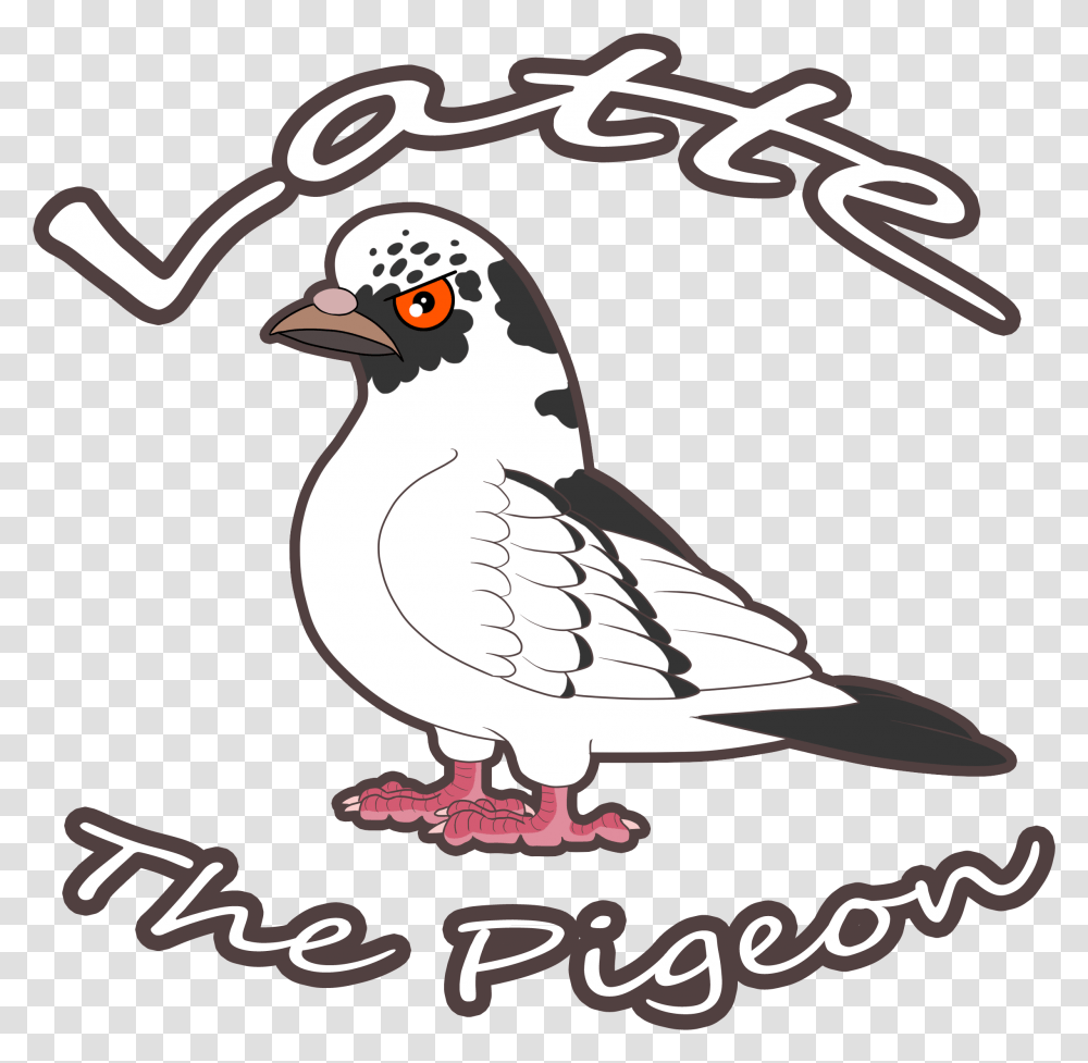 Angry Pigeon Cartoon, Bird, Animal, Finch, Sink Faucet Transparent Png