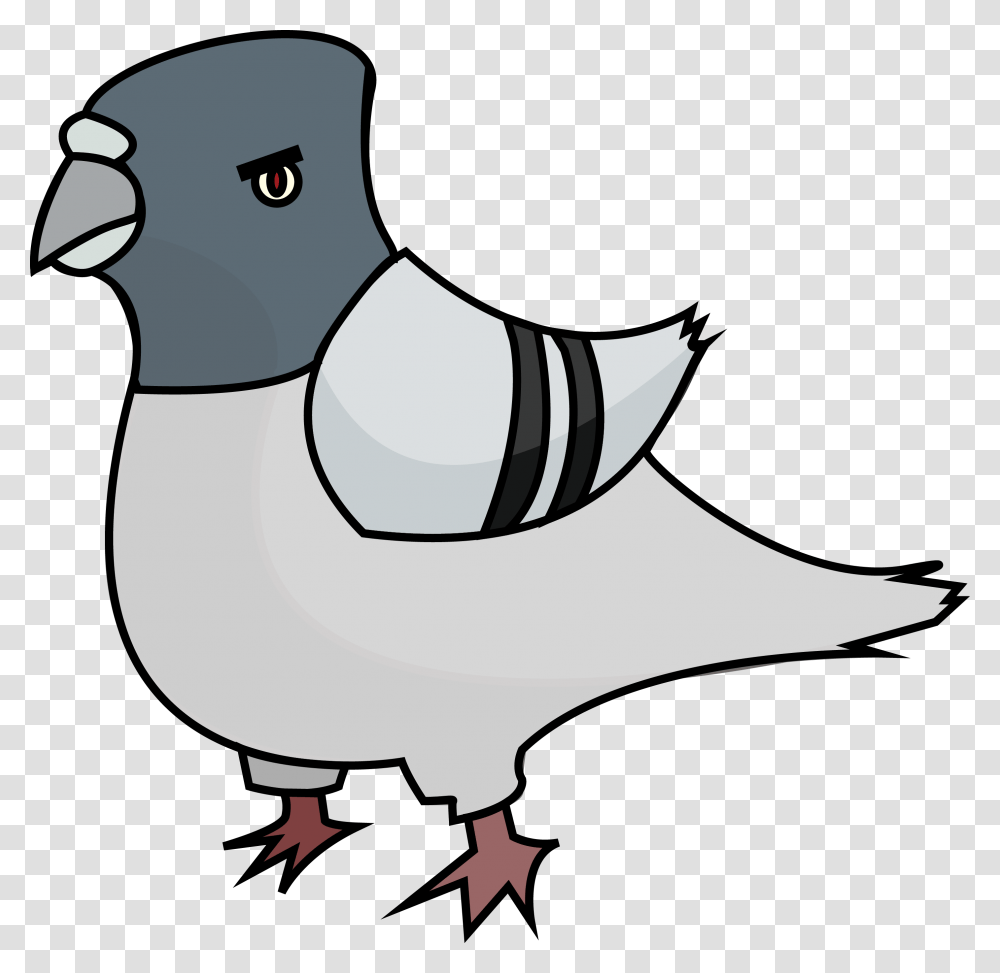 Angry Pigeon Clipart, Bird, Animal, Beak, Finch Transparent Png