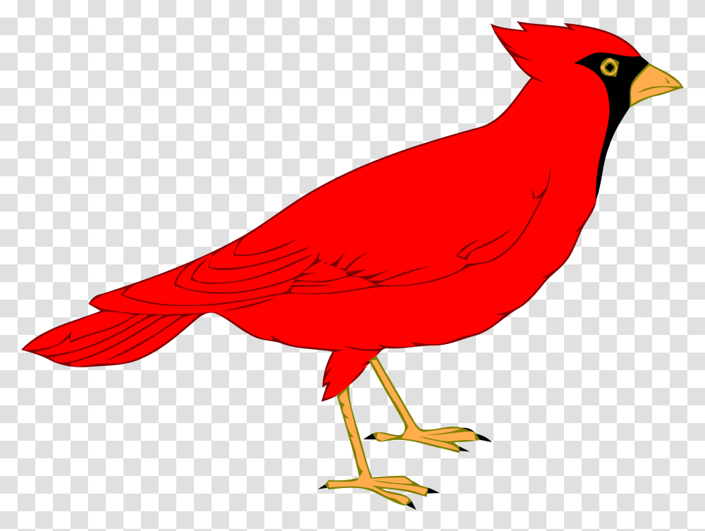 Angry Red Bird Clipart, Animal, Cardinal, Finch Transparent Png