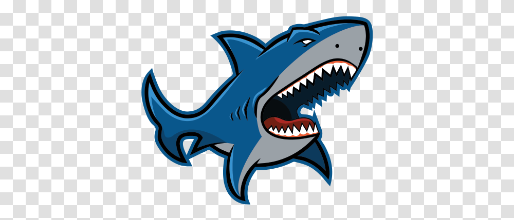 Angry Shark Great White Shark, Sea Life, Fish, Animal, Teeth Transparent Png