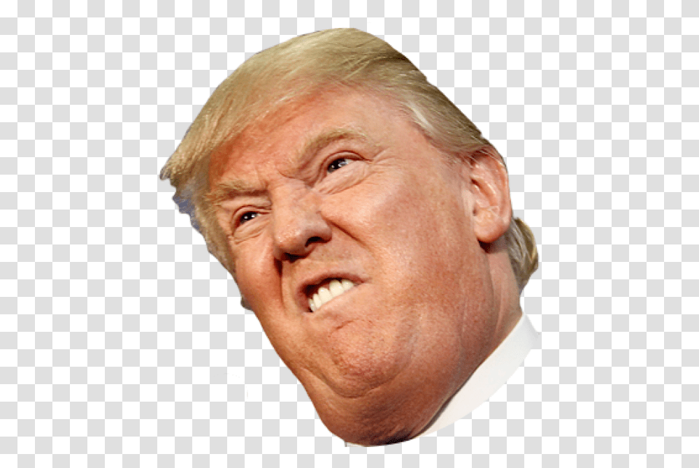 Angry Side Face Trump Donald Trump Face, Head, Person, Portrait, Photography Transparent Png