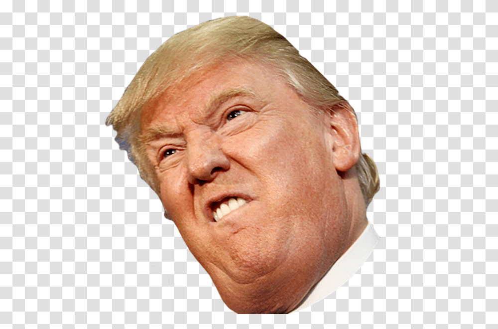 Angry Side Face Trump Donald Trump Face, Person, Human, Head, Laughing Transparent Png