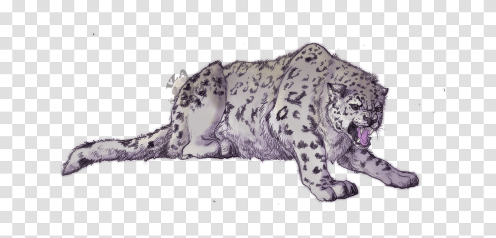 Angry Snow Leopard Snow Leopard Drawing, Wildlife, Animal, Panther, Mammal Transparent Png