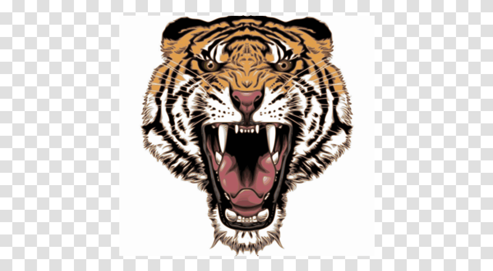 Angry Tiger Face, Wildlife, Mammal, Animal, Zebra Transparent Png
