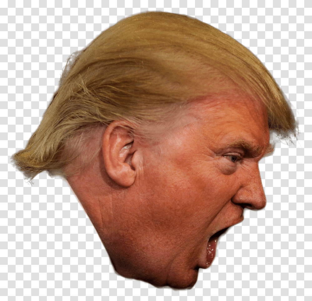 Angry Trump Head Trump Head, Face, Person, Human, Skin Transparent Png